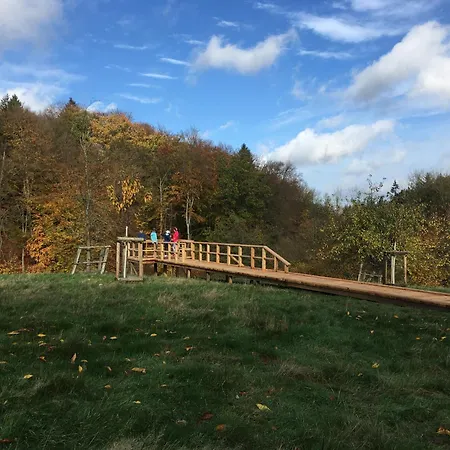 Waldblick Am Ratzeburger Kuechensee