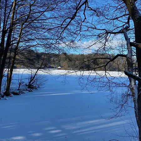 Waldblick Am Ratzeburger Kuechensee Schmilau