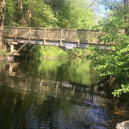 Waldblick Am Ratzeburger Kuechensee Schmilau