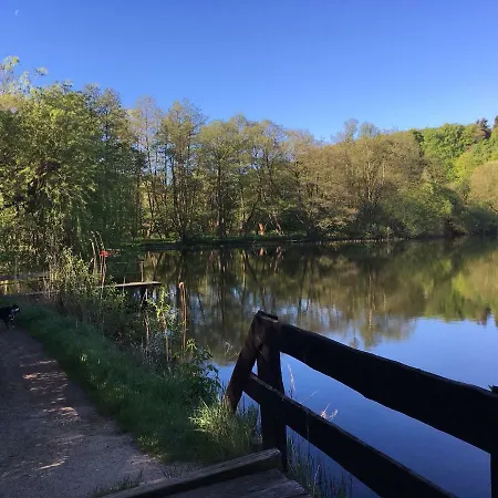 Waldblick Am Ratzeburger Kuechensee Schmilau